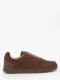 camel 02