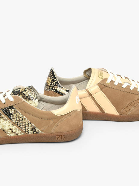 Sneakers En Cuir Caval Marron accessoires BAPULS2F vue secondaire 2