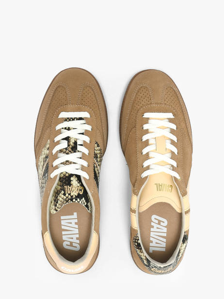 Sneakers En Cuir Caval Marron accessoires BAPULS2F vue secondaire 3